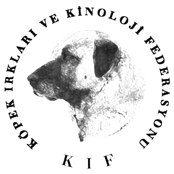 Kif