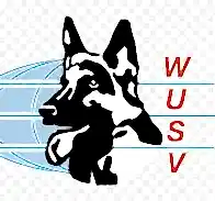 Wusv